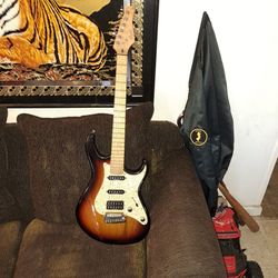 Cottt G260 electric guitar.