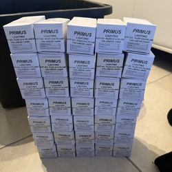 Primus Lighting S14 LED Filament Bulbs