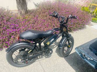 Q life sport