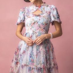 Ivy City Dress Size Small - Pickup From Northridge Area 