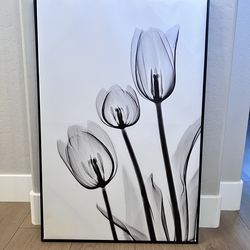 36x24 Large Floating Framed Black and White Tulip Floral Canvas Artwork