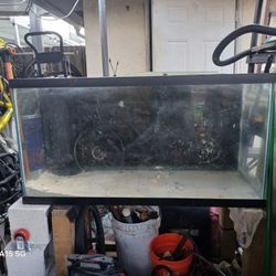 Aquarium 90 Gallon 