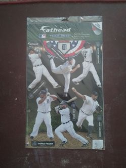 Detroit tigers