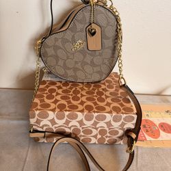 Crossbody ♥️🎁sm $90👈🏼