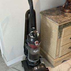 Vacuum cleaner, Hoover animal