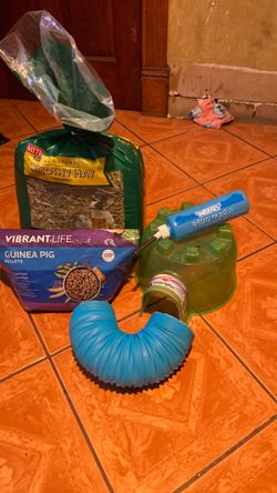 Guine pig combo