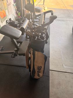 Ping Golf Bag with cobra bombtech and callaway clubs