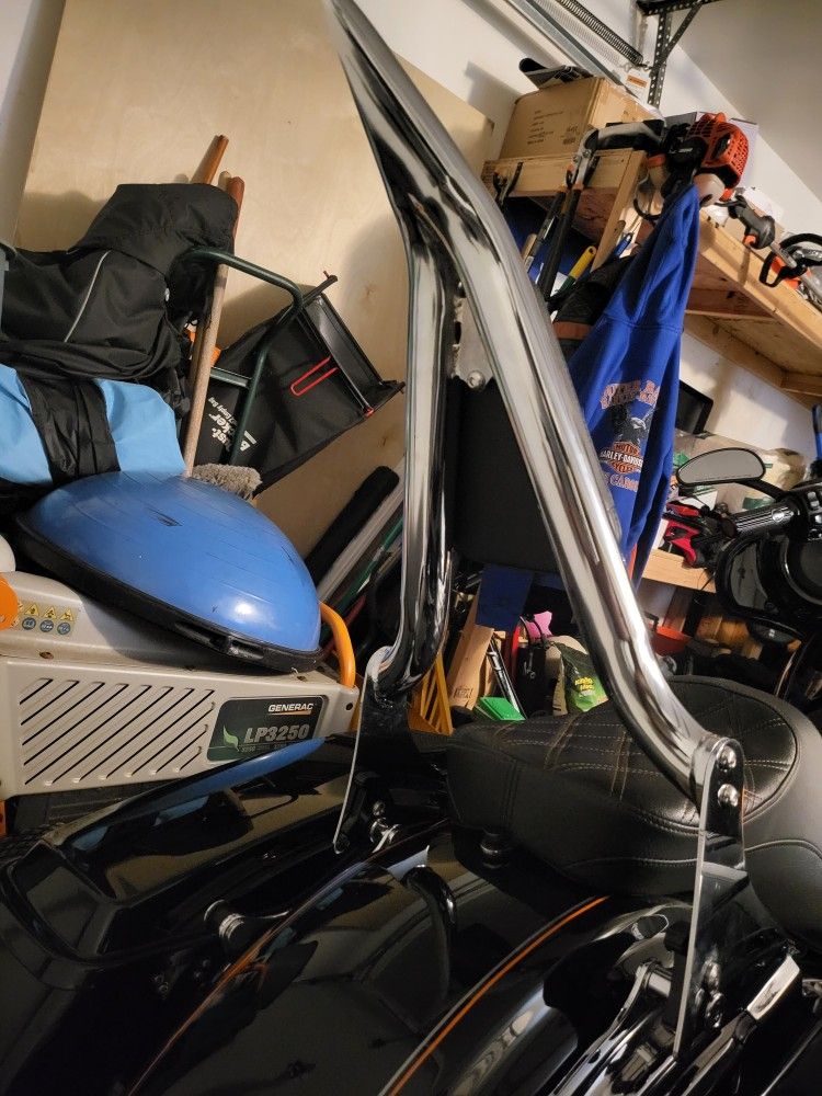 Harley Crusier Sissy Bar