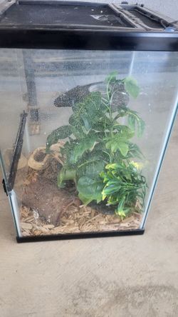 Vitrina para animales