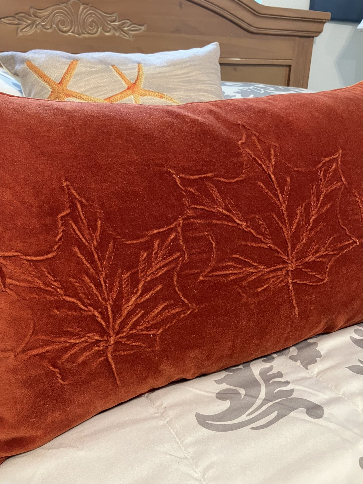 Beautiful Feathers Cushion $7