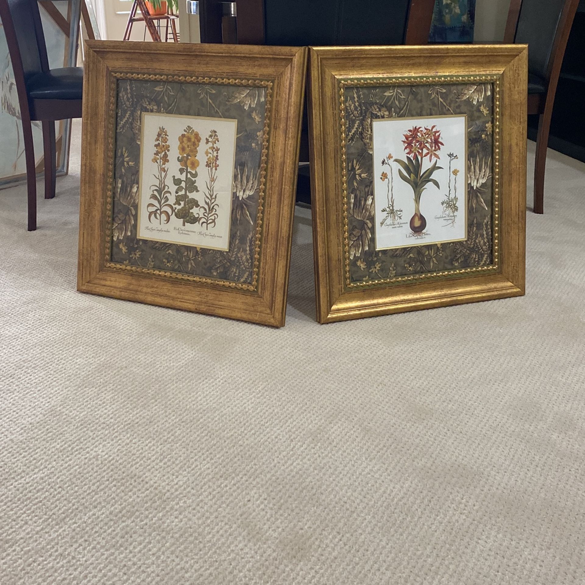 Framed Art Work Set Of 2