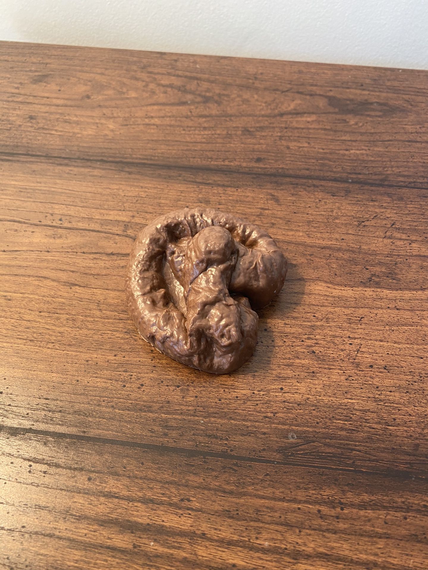 Fake Dog Poop