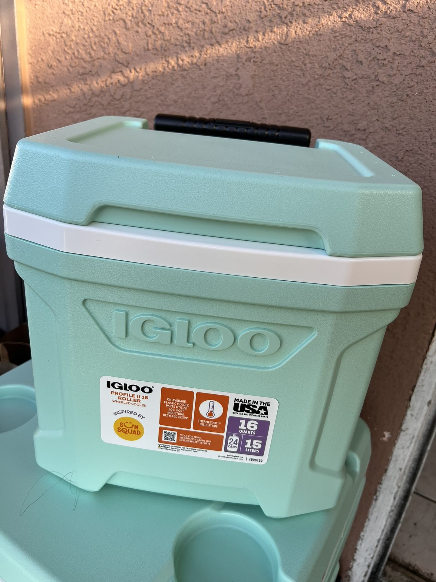 Igloo cooler mint