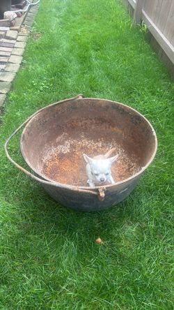 Antique 1800s D.R. Sperry Batavia Cast Iron Farm Kettle – 27” w/ Original Bail