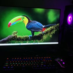Gaming PC 