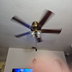 Ceiling Fan