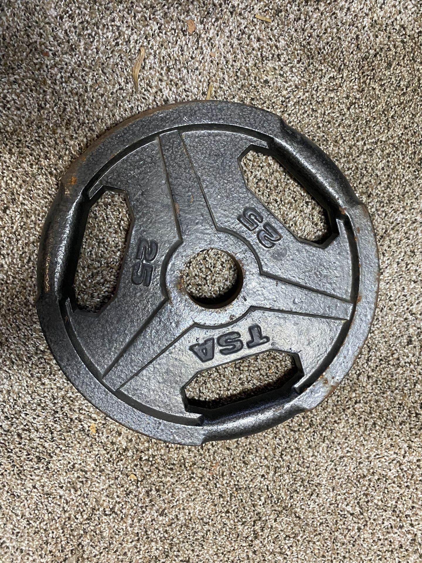 1-25lb. Cast Iron Olympic Weight Plate