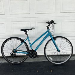 Women's Fuji 21 Speed Aluminum City Bike (17")