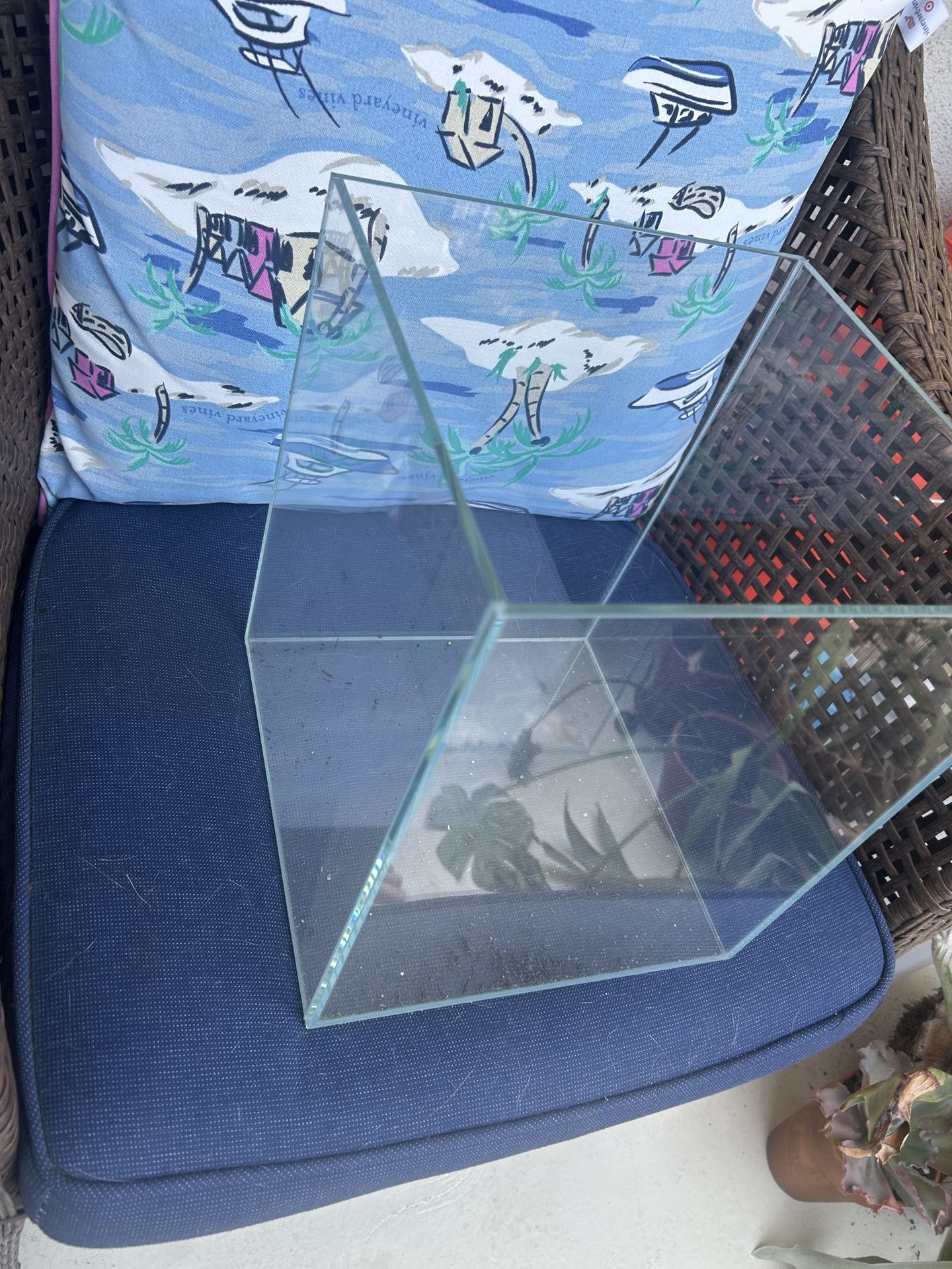 Aquarium Fish Tank