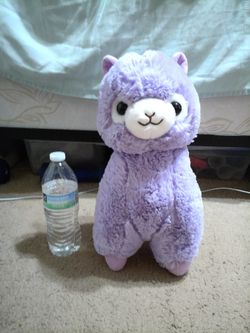 Alpacasso Purple, Saddled Alpaca