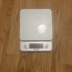 Taylor food weight scale