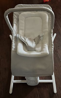 Baby Delight Swing