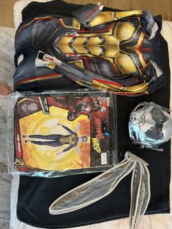 Wasp Costume