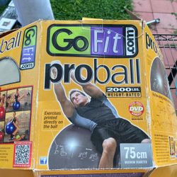 Go Fit Ball