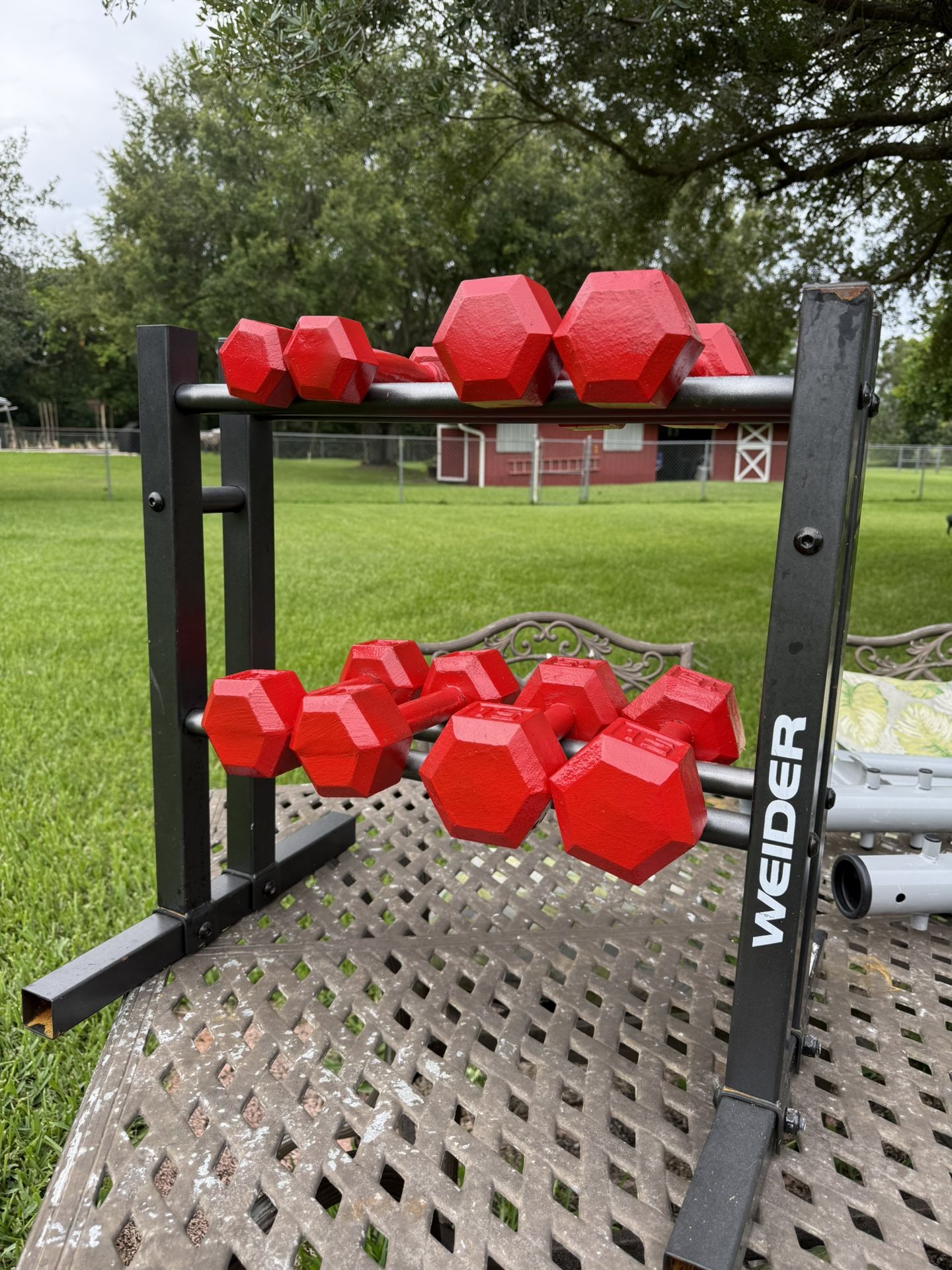 Hex Steel Dumbbells With Rack