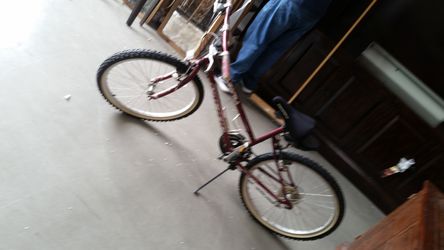 Bike 65