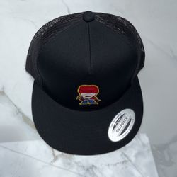 $20 Snapback