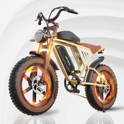 Zeus And Ruta 20 in electric bike 48v Dual Battery 750W powerful motor