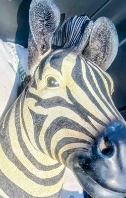 Zebra Painting Sculpture