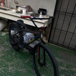 THRONE 29ER