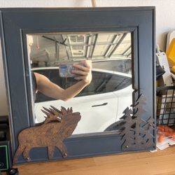 Decorative Cabin Or Outdoor Style Frame/ Mirror
