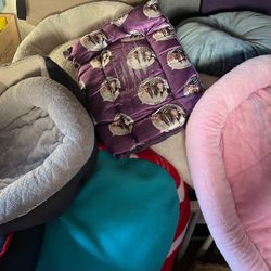 Assorted Small and Medium Pet Beds