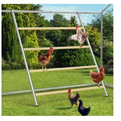 Square Chicken Roosting Perch, Perfect for Backyard Poultry, Chicken Perch for Coop, Easy to Assemble&Clean, Farm Chicken Toys (55" L x 40" W) 