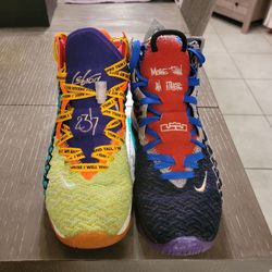 Nike Lebrons 17