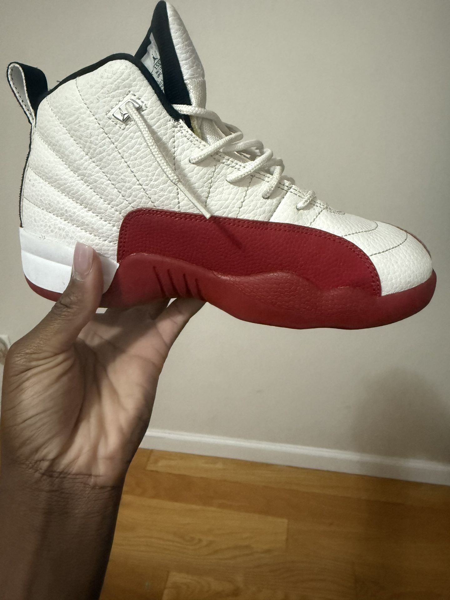 Cherry Jordan Retro 12