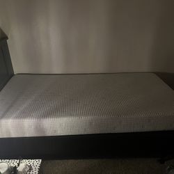 Free Twin Bed