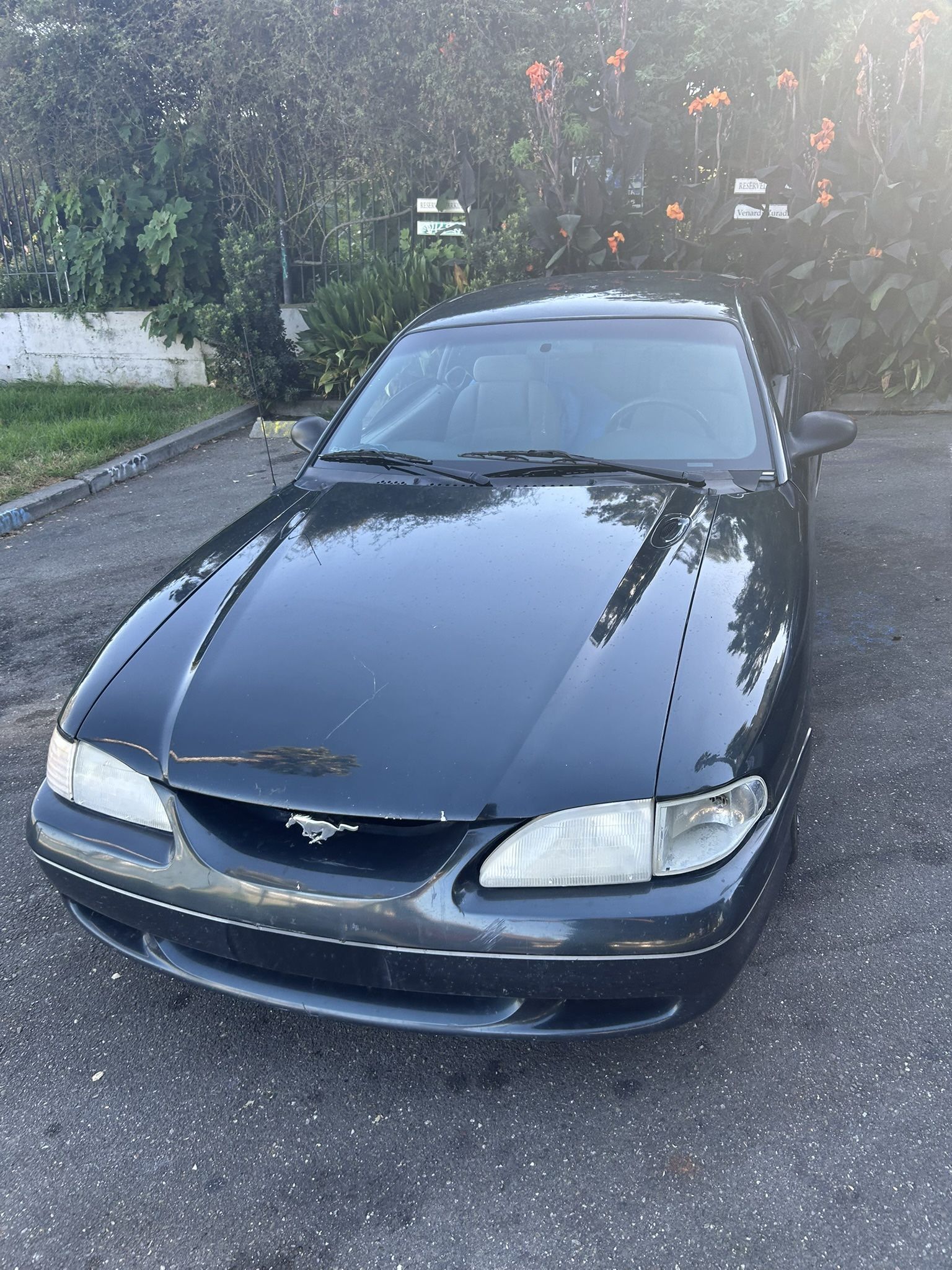 1998 Ford Mustang