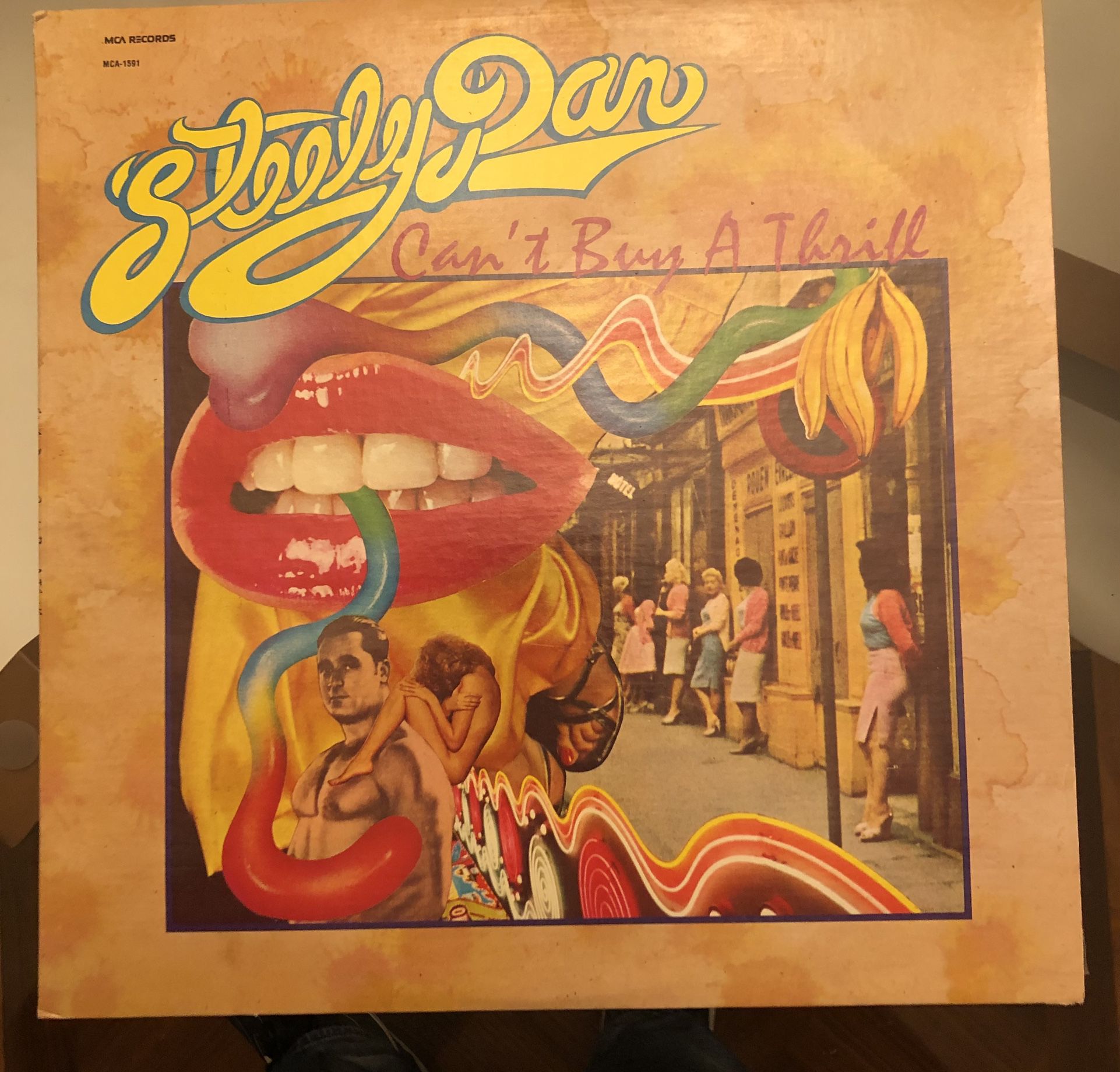 Steely Dan Orig vinyl Collection $50