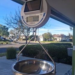 Scale, Hanging, Produce, Other Uses 30lb Max