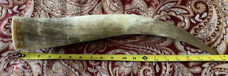 Authentic Beeswax Lined Drinking Horn (18.75”) w/ Handmade Leather Cap and Belt Loop.
