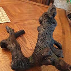 Habitat Decor In Weeki Wachee Spring Hill