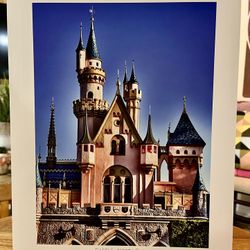 Disney World Cinderellas Castle North Face Art Print