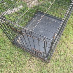 🐕❤️ hola Mediana Para Perro🐕🐕