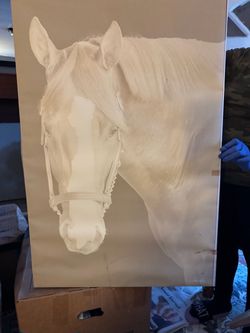 Large Horse Portrait Canvas Painting