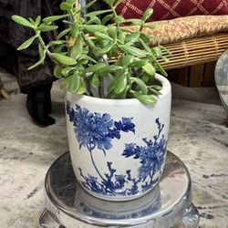 Vintage Asian Porcelain Pot Pottery With Jade Plant And Stand