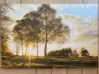 Landscape Canvass 24 x 36 x 1 1/2